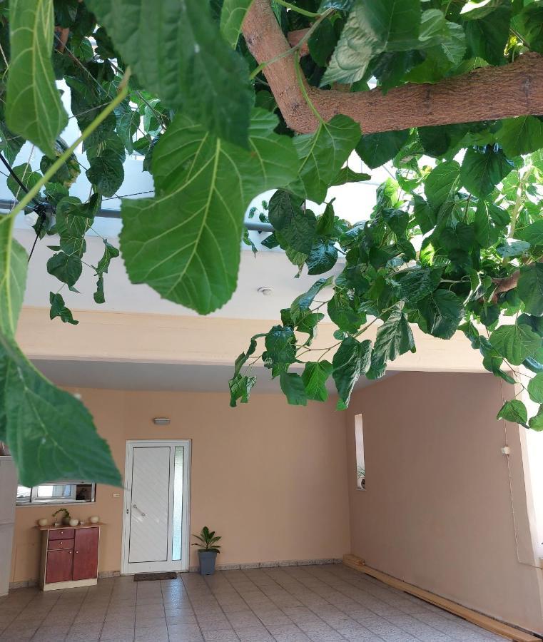 Argy Cozy Apartment  Χανιά Εξωτερικό φωτογραφία